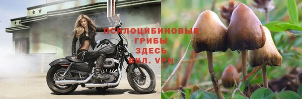 таблы Новодвинск