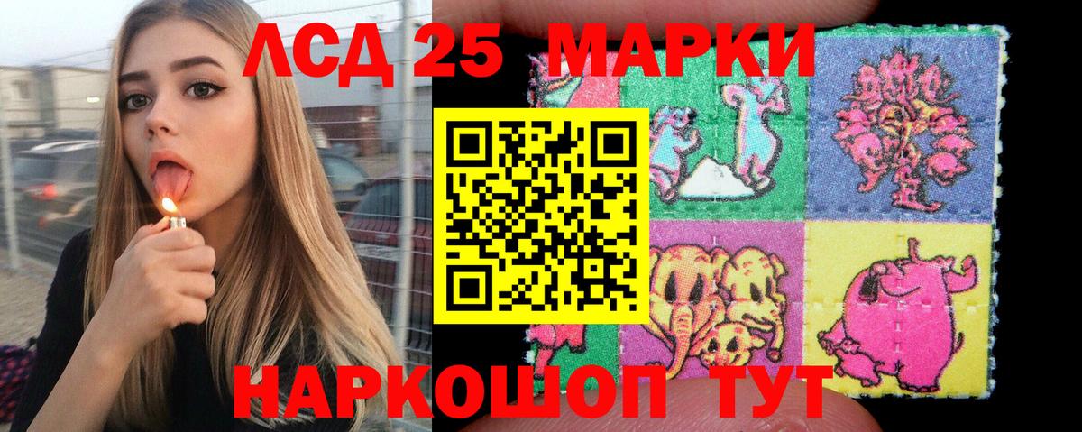 как найти наркотики  Заволжье  Наркотические марки 1,5мг 