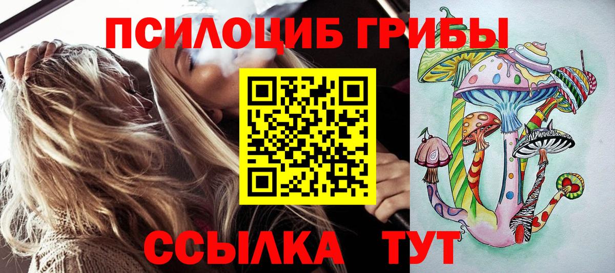 Галлюциногенные грибы мицелий Заволжье