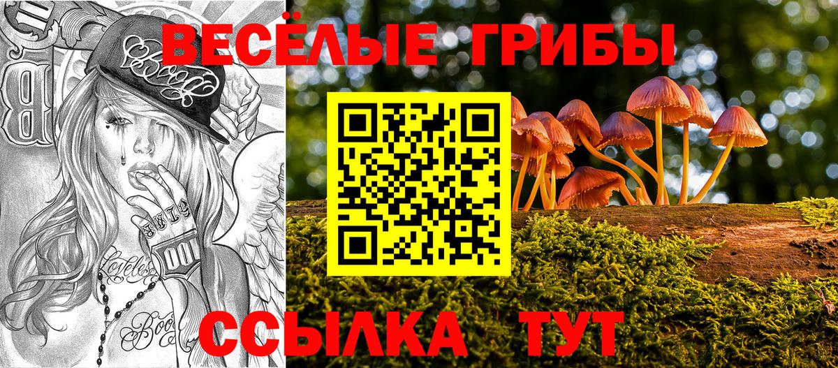 Псилоцибиновые грибы мухоморы  Вход с VPN  Заволжье  Псилоцибиновые грибы Cubensis 